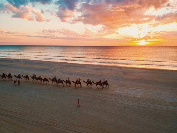 Camels Cable Beach Broome