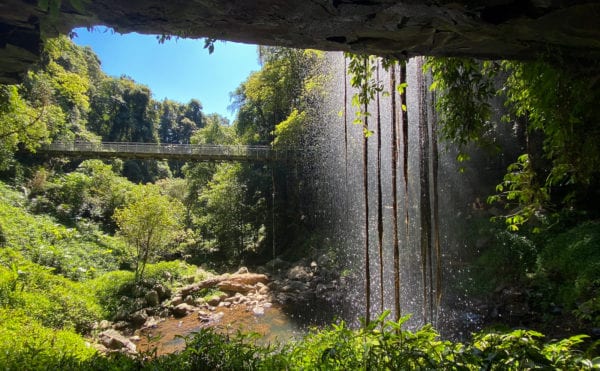 Crystal Shower Falls Dorrigo National Park NSW