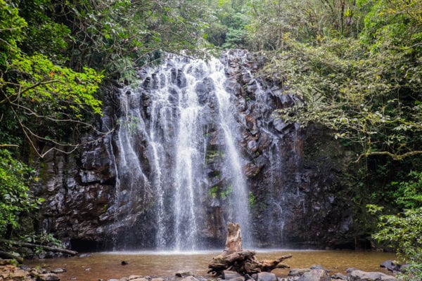 Destinations Tropical North Queensland Ellinjaa Falls Credit Clyne