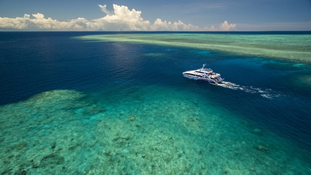 Cruise Great Barrier Reef Cairns Australia