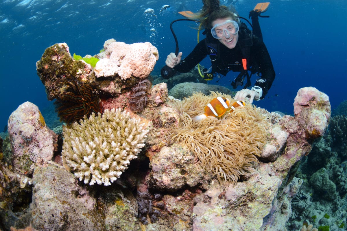 Dive Great Barrier Reef Cairns Australia