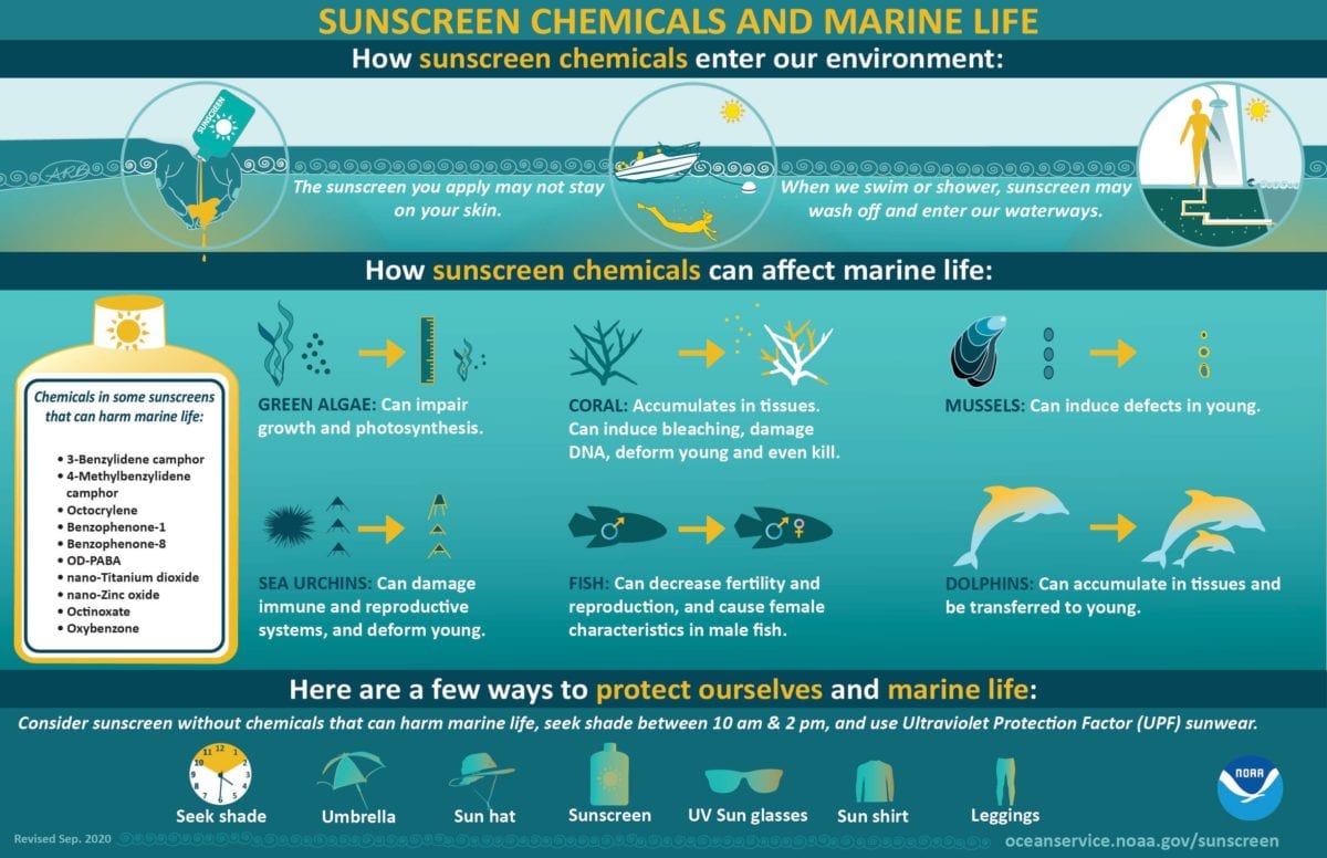 NOAA Infographic Sunscreen Chemicals and Marine Life